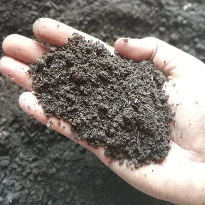 Vermicompost